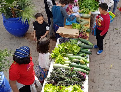 Le marché bio du G. S. Jacques Majorelle