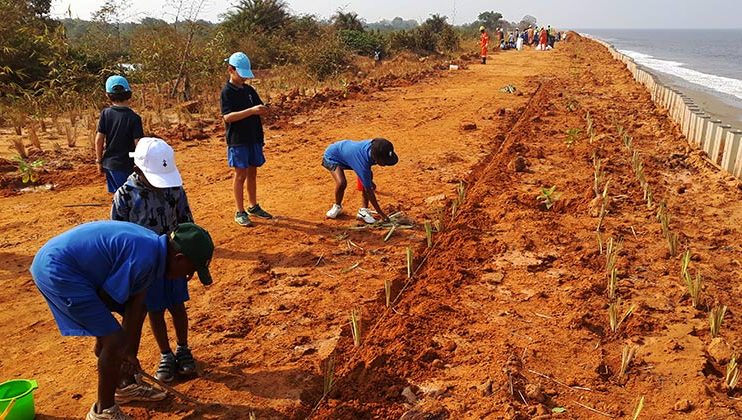 Journée de l&rsquo;environnement, Mlf-Perenco, Muanda
