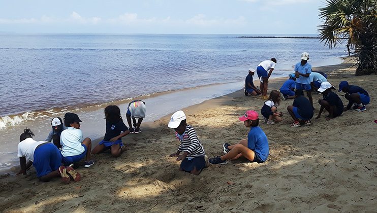 Journée de l&rsquo;environnement, école Mlf Perenco, Muanda